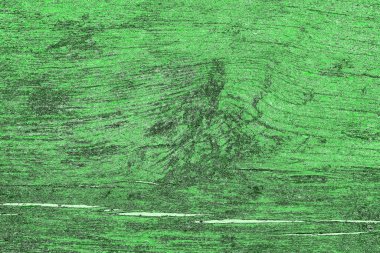 soyut yeşil doku, arkaplan, duvar kağıdını kopyala
