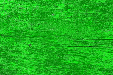 soyut yeşil doku, arkaplan, duvar kağıdını kopyala