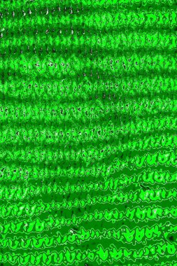 soyut yeşil doku, arkaplan, duvar kağıdını kopyala