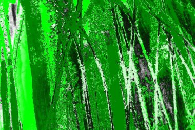 soyut yeşil doku, arkaplan, duvar kağıdını kopyala