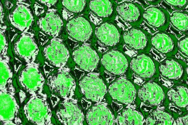 soyut yeşil doku, arkaplan, duvar kağıdını kopyala