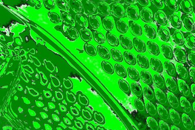 soyut yeşil doku, arkaplan, duvar kağıdını kopyala