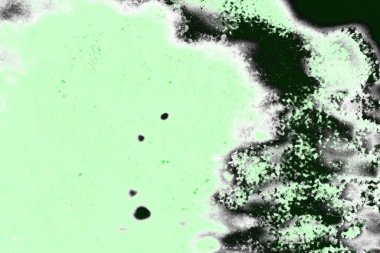 soyut yeşil doku, arkaplan, duvar kağıdını kopyala