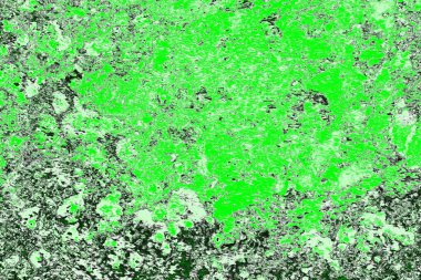 soyut yeşil doku, arkaplan, duvar kağıdını kopyala