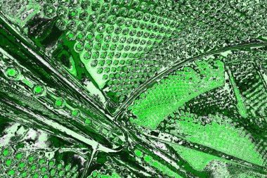 soyut yeşil doku, arkaplan, duvar kağıdını kopyala