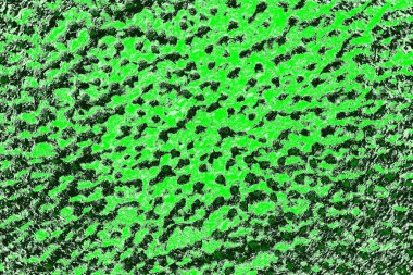 soyut yeşil doku, arkaplan, duvar kağıdını kopyala