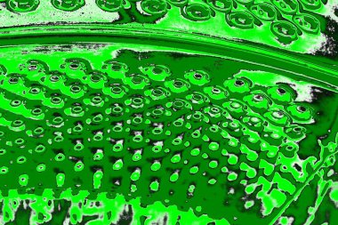 soyut yeşil doku, arkaplan, duvar kağıdını kopyala