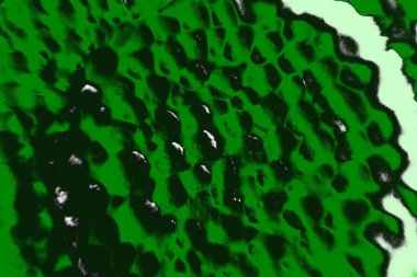 soyut yeşil doku, arkaplan, duvar kağıdını kopyala