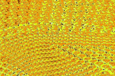 sarı renkli kirli duvar, desenli arka plan