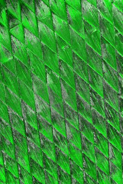 soyut yeşil doku, arkaplan, duvar kağıdını kopyala
