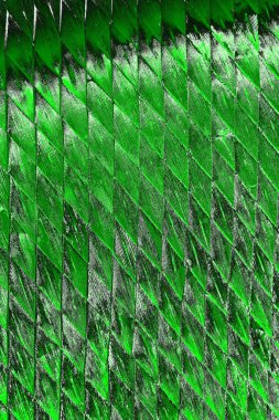 soyut yeşil doku, arkaplan, duvar kağıdını kopyala