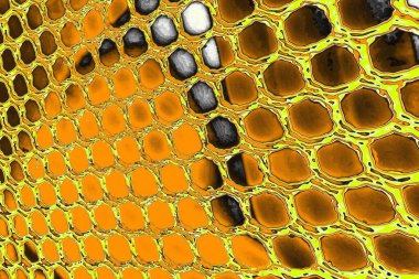 Renkli kirli duvar, desenli arkaplan