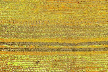 sarı renkli kirli duvar, desenli arka plan