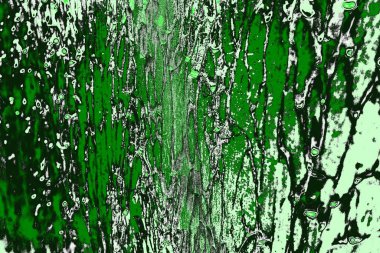 soyut yeşil doku, arkaplan, duvar kağıdını kopyala