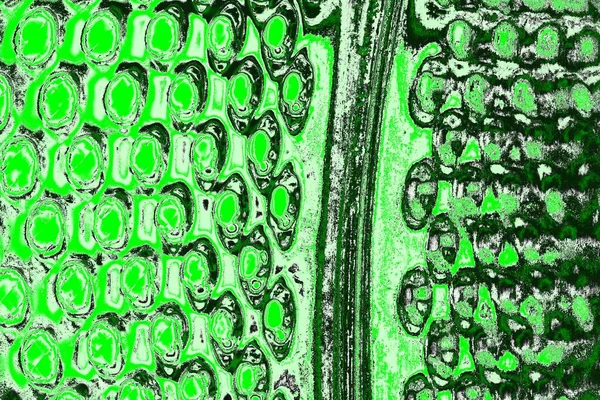 Abstracto Textura Verde Fondo Copia Espacio Fondo Pantalla — Foto de Stock