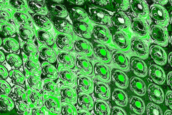 soyut yeşil doku, arkaplan, duvar kağıdını kopyala