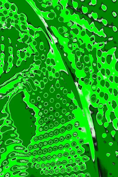 Abstrato Textura Verde Fundo Papel Parede Espaço Cópia — Fotografia de Stock