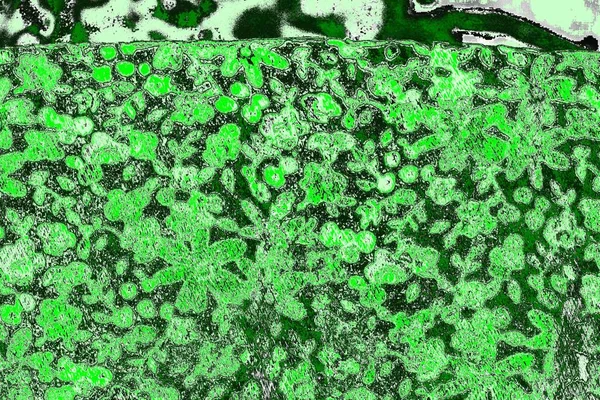 抽象绿色纹理 复制空间壁纸 — 图库照片