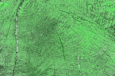 soyut yeşil doku, arkaplan, duvar kağıdını kopyala