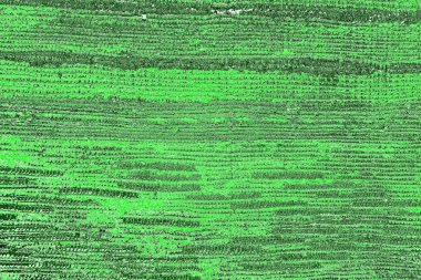 soyut yeşil doku, arkaplan, duvar kağıdını kopyala