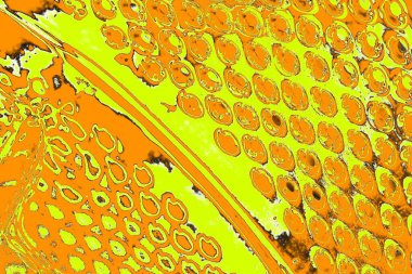 Renkli kirli duvar, desenli arkaplan