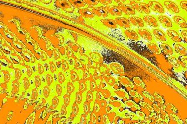 Renkli kirli duvar, desenli arkaplan