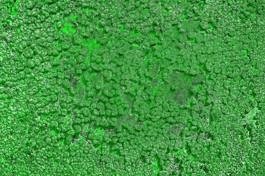 soyut yeşil doku, arkaplan, duvar kağıdını kopyala