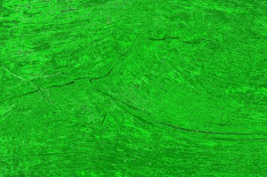 soyut yeşil doku, arkaplan, duvar kağıdını kopyala