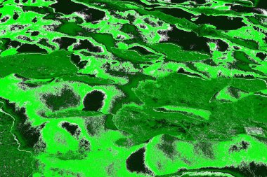 soyut yeşil doku, arkaplan, duvar kağıdını kopyala