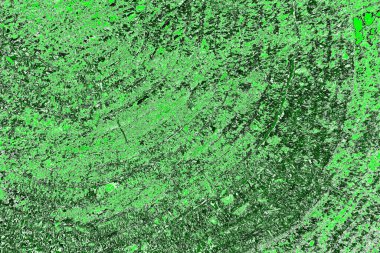 soyut yeşil doku, arkaplan, duvar kağıdını kopyala