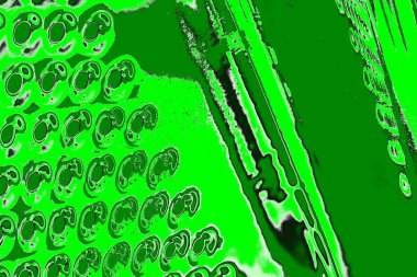 soyut yeşil doku, arkaplan, duvar kağıdını kopyala