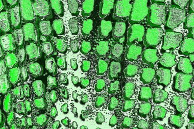 Renkli kirli duvar, desenli arkaplan