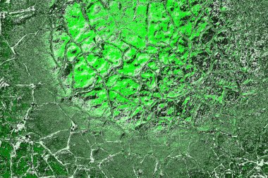 soyut yeşil doku, arkaplan, duvar kağıdını kopyala