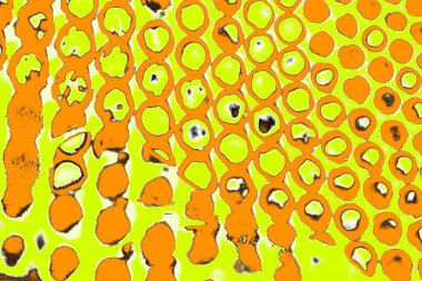 Renkli kirli duvar, desenli arkaplan