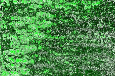 soyut yeşil doku, arkaplan, duvar kağıdını kopyala