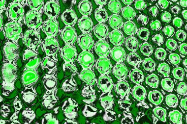 soyut yeşil doku, arkaplan, duvar kağıdını kopyala