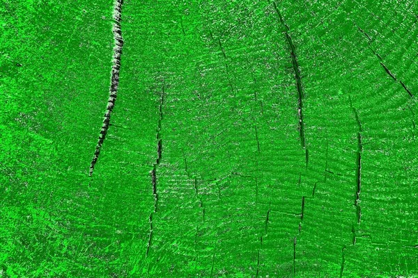 soyut yeşil doku, arkaplan, duvar kağıdını kopyala