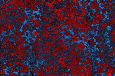 Soyut renk dokusu, grunge arkaplanı, boşluk duvar kağıdını kopyala