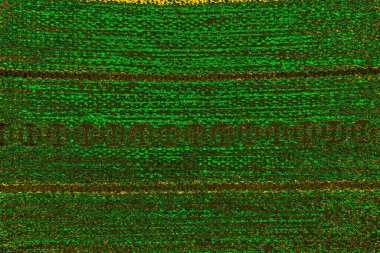 soyut yeşil doku arkaplanı, boşluk duvar kağıdını kopyala