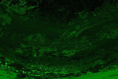 soyut yeşil doku arkaplanı, boşluk duvar kağıdını kopyala