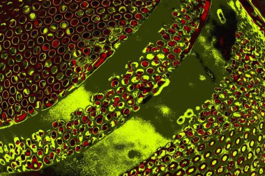 Soyut arkaplan renkli modern desen 