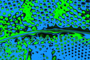 soyut yeşil doku, arkaplan, duvar kağıdını kopyala