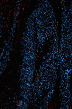 soyut mavi ve kırmızı doku, grunge arkaplan, boşluk duvar kağıdını kopyala