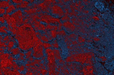 soyut mavi ve kırmızı doku, grunge arkaplan, boşluk duvar kağıdını kopyala