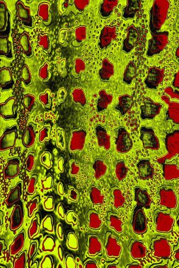 soyut renkli doku arkaplanı, uzay duvar kağıdını kopyala