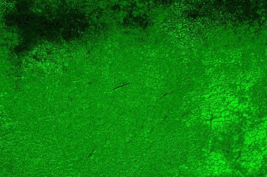 soyut yeşil doku, arkaplan, duvar kağıdını kopyala