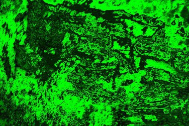 soyut yeşil doku arkaplanı, boşluk duvar kağıdını kopyala