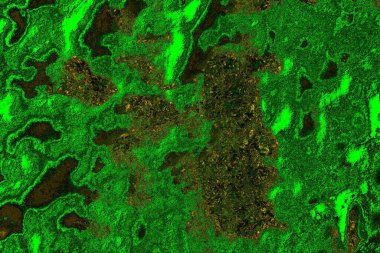 soyut yeşil doku arkaplanı, boşluk duvar kağıdını kopyala