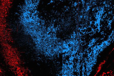 soyut mavi ve kırmızı doku, grunge arkaplan, boşluk duvar kağıdını kopyala