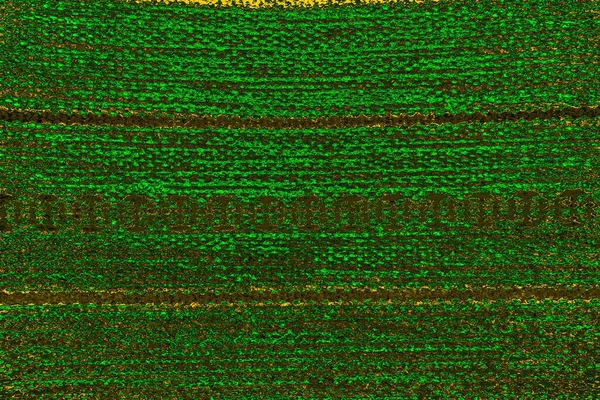 soyut yeşil doku arkaplanı, boşluk duvar kağıdını kopyala